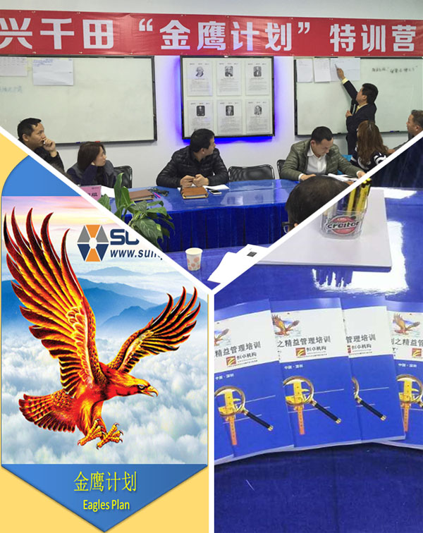 興千田金鷹計(jì)劃 興千田金鷹計(jì)劃