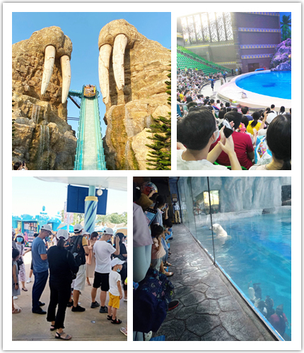 興千田集團(tuán)2020年度旅游活動(dòng)-長(zhǎng)隆二日游 興千田集團(tuán)2020年度旅游活動(dòng)-長(zhǎng)隆二日游