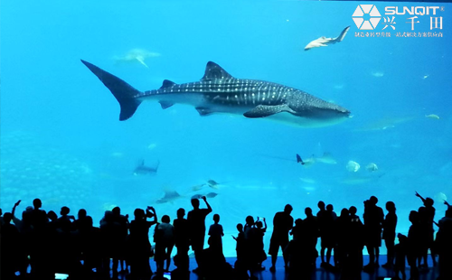 興千田集團(tuán)2020年度旅游活動(dòng)-長(zhǎng)隆二日游 興千田集團(tuán)2020年度旅游活動(dòng)-長(zhǎng)隆二日游