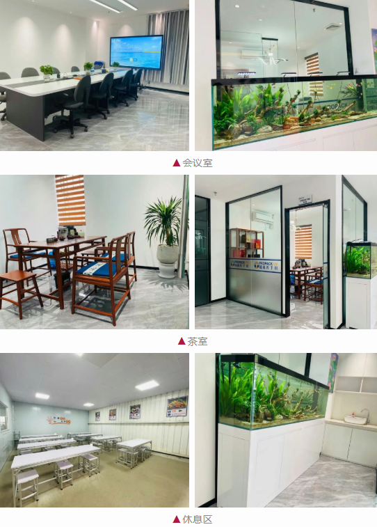 越南興千田辦公空間煥新升級3